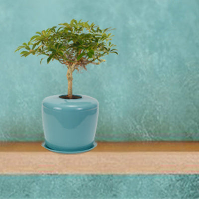 The Living Urn Indoors / Patio - Birdsong